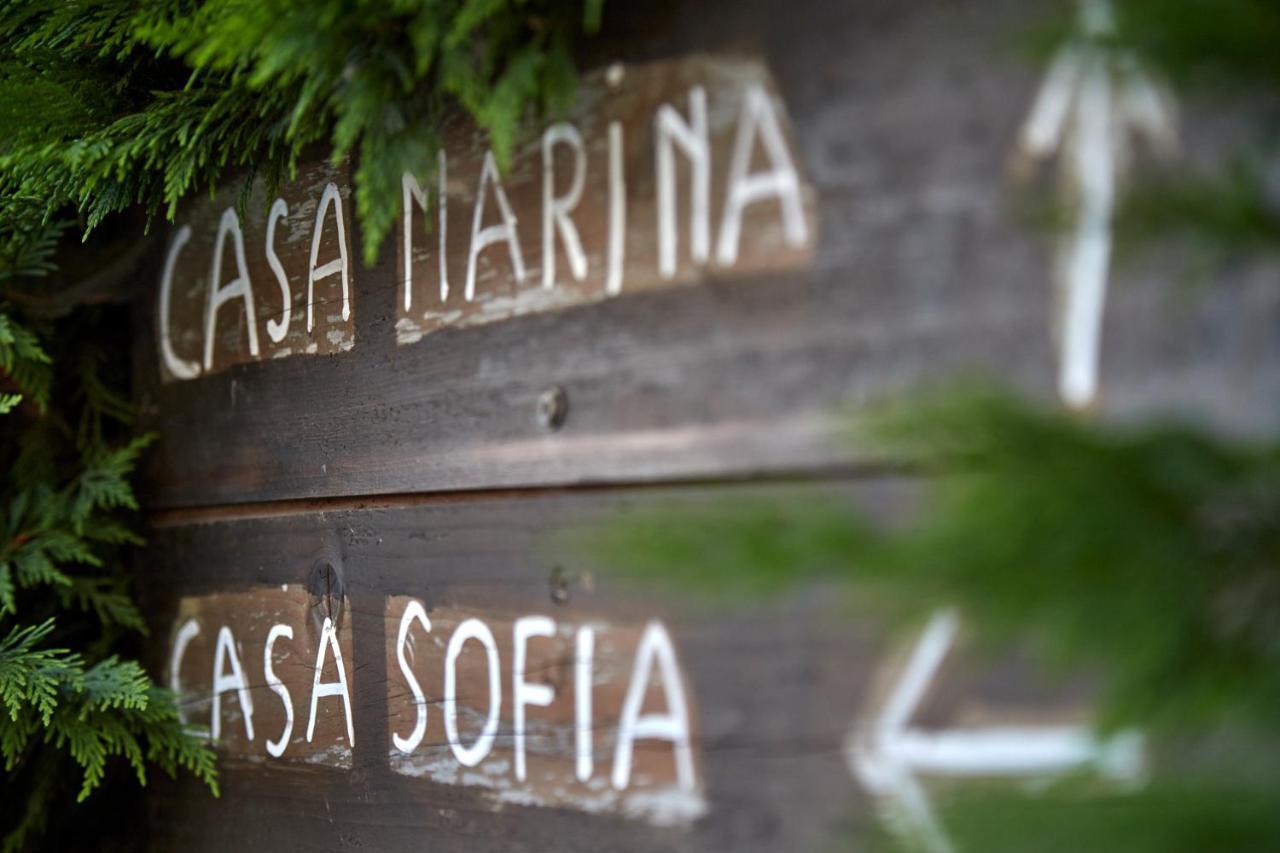 Agriturismo Da Rosy Codevigo Zewnętrze zdjęcie