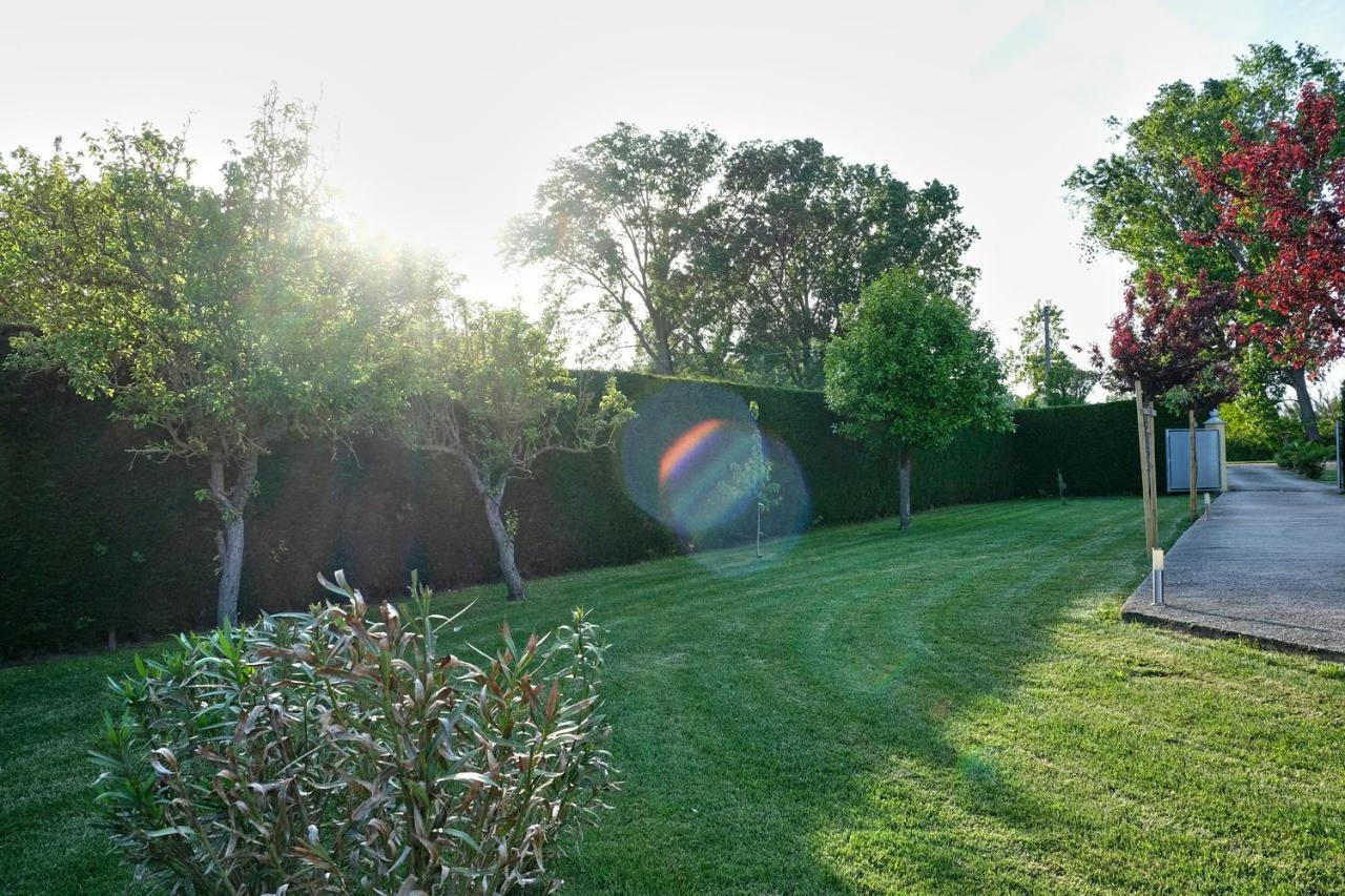Agriturismo Da Rosy Codevigo Zewnętrze zdjęcie